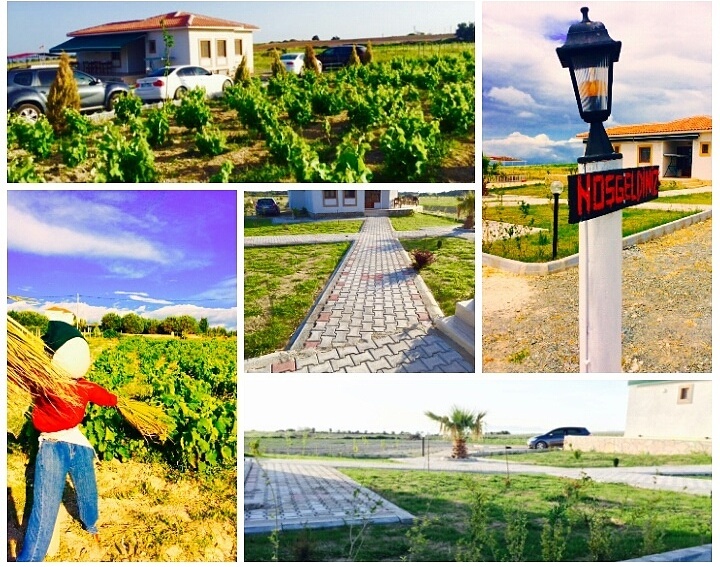 bozcaada karina vineyard house butik otel